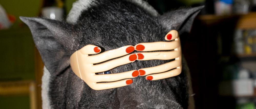 Feng Li, zur Ausstellung "White Nights in Wonderland", Fotografiska Berlin