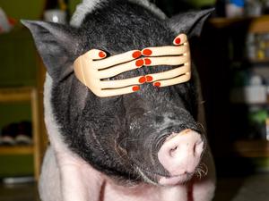 Feng Li, zur Ausstellung "White Nights in Wonderland", Fotografiska Berlin