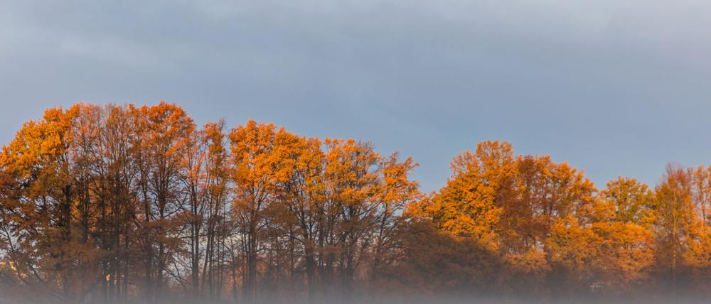 Nebel und Wolken hängen über Berlin und Brandenburg. (Symbolbild)