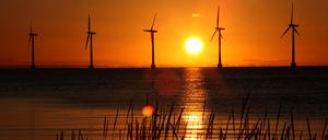 Während die weltweiten Emissionen neue Höchstwerte erreichen, zeigen sich in China, Brasilien und der EU erste Fortschritte. Erneuerbare Energien holen auf.