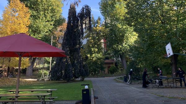 Der Kiezpark in Prenzlauer Berg.