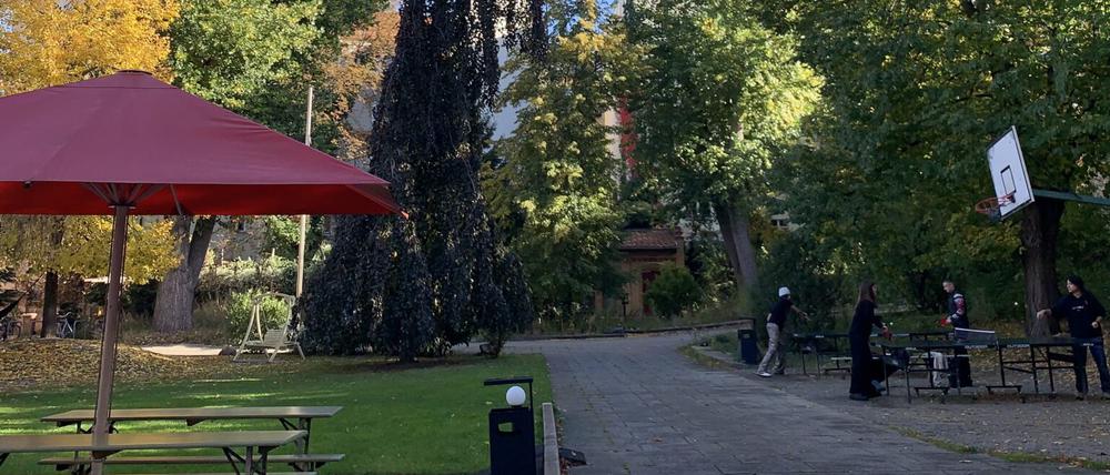 Der Kiezpark in Prenzlauer Berg.