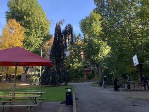 Der Kiezpark in Prenzlauer Berg.