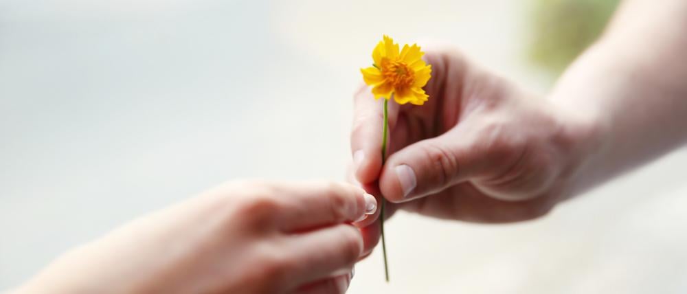 Eine Person reicht einer anderen Person eine kleine gelbe Blume.