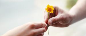 Eine Person reicht einer anderen Person eine kleine gelbe Blume.