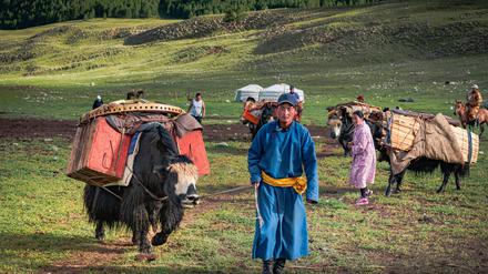 Die heutige Nomadenfamilie zieht mit Yaks in den Sommer in der Mongolei.