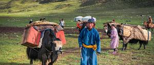 Die heutige Nomadenfamilie zieht mit Yaks in den Sommer in der Mongolei. 