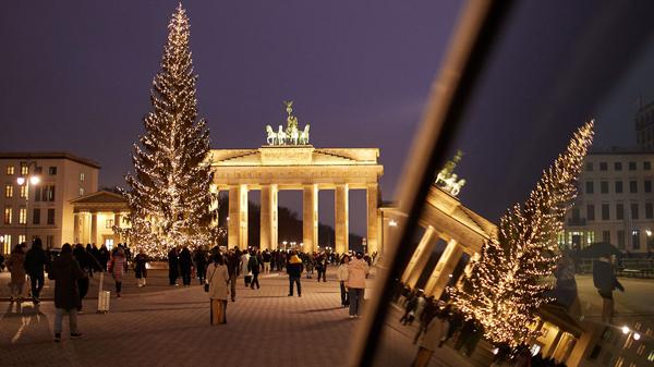 Eine „Gemeine Fichte“ aus Sömmerda wird in diesem Jahr den Pariser Platz in Berlin schmücken. (Archivbild)