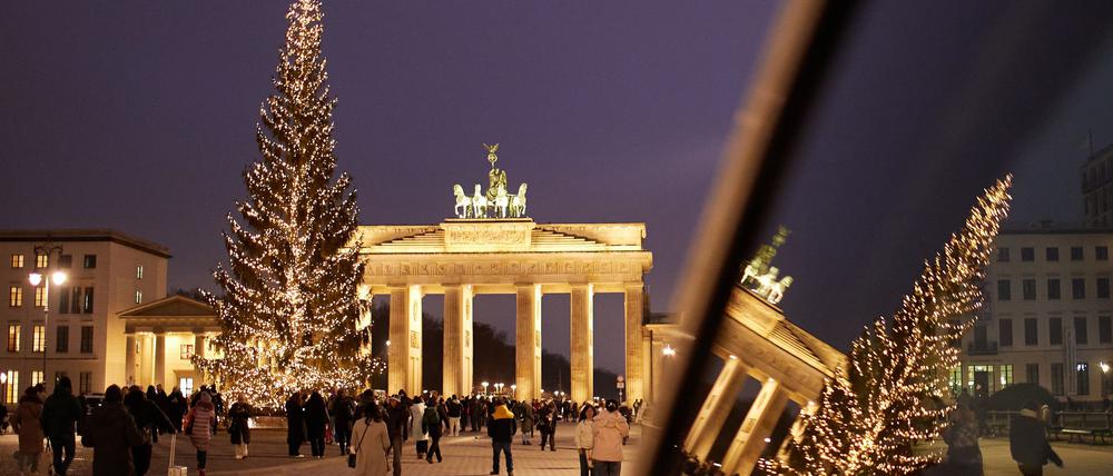 Eine „Gemeine Fichte“ aus Sömmerda wird in diesem Jahr den Pariser Platz in Berlin schmücken. (Archivbild)