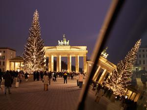 Eine „Gemeine Fichte“ aus Sömmerda wird in diesem Jahr den Pariser Platz in Berlin schmücken. (Archivbild)