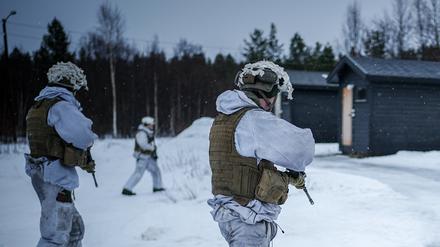 Norwegische Grenzschützer demonstrieren bei einer Übung die Festnahme eines Mannes.