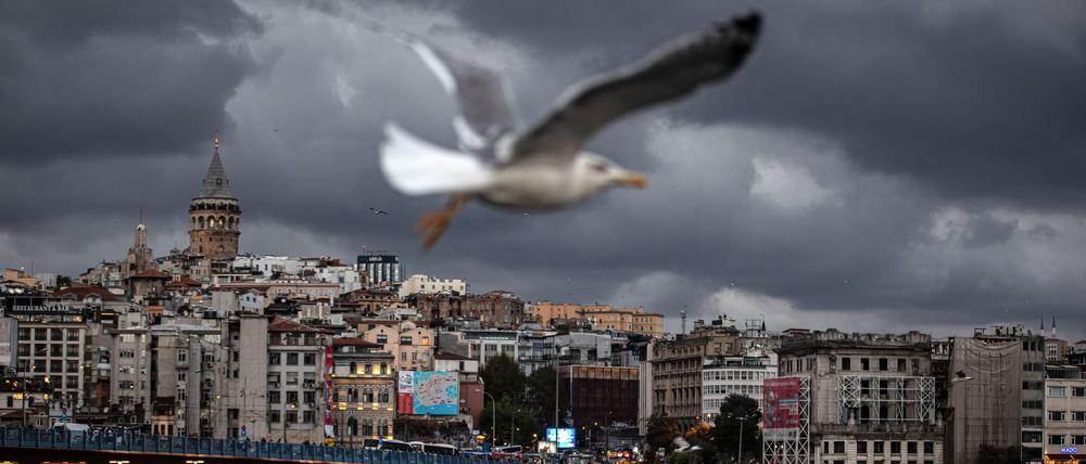 Eine Möwe fliegt vor der Stadtansicht Istanbuls.