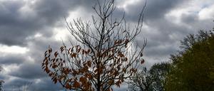 Das Wochenende in Berlin und Brandenburg bringt Regen und kühle Luft. (Archivbild)