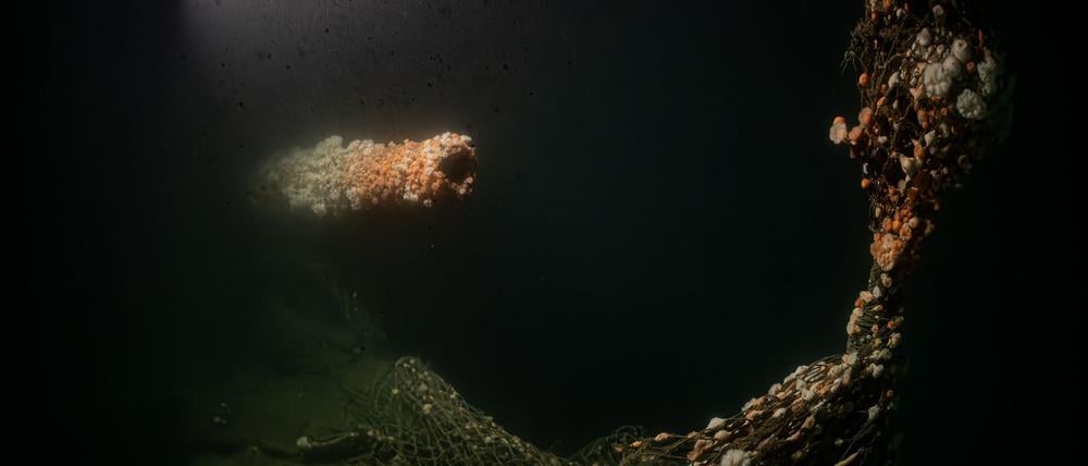 Die Tauchgänge fanden nach Angaben des Teams in großer Tiefe und unter herausfordernden Bedingungen statt.