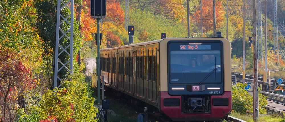 Bauarbeiten sorgen am Wochenende für Einschränkungen bei der S-Bahn. (Symbolbild)