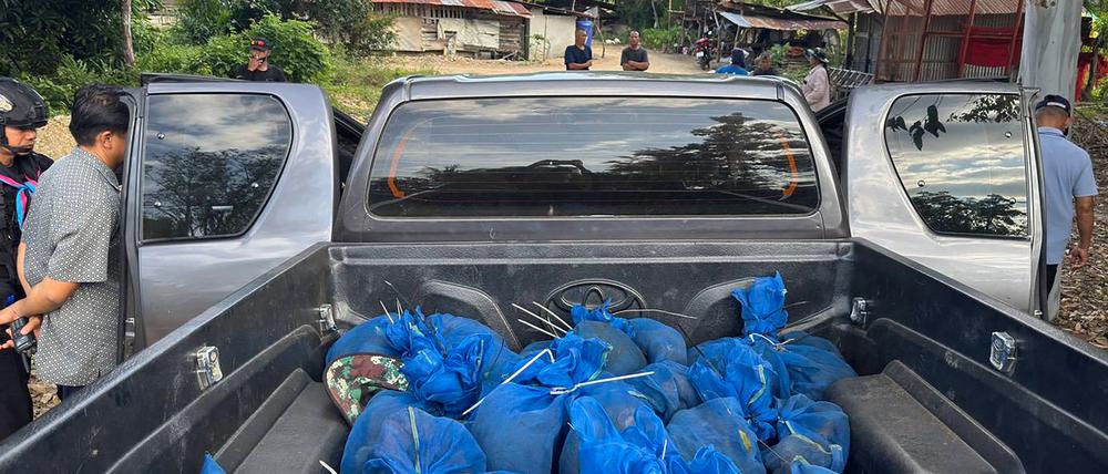 Die thailändische Armee hat an der Grenze zu Kambodscha einen Tierhändlerring aufgedeckt.