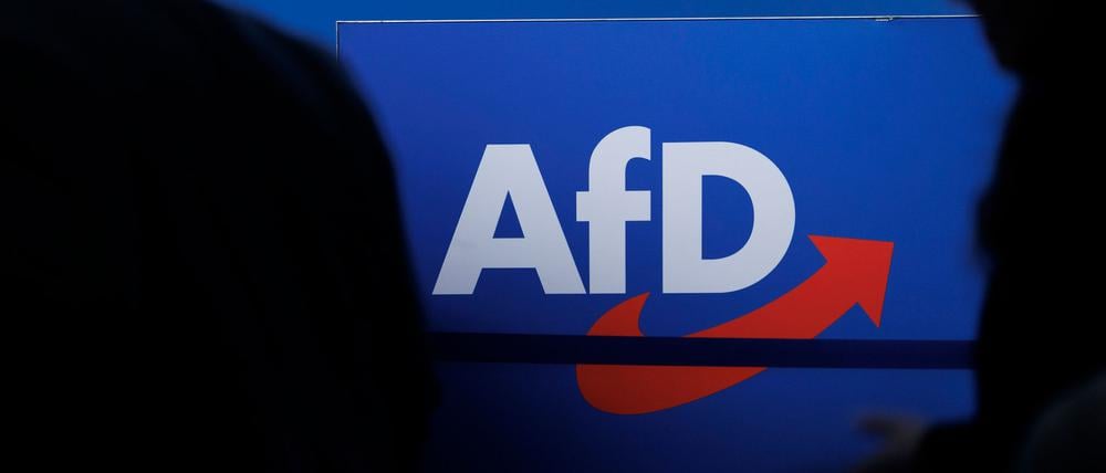 Delegierte vor dem Parteilogo bei einem AfD-Parteitag