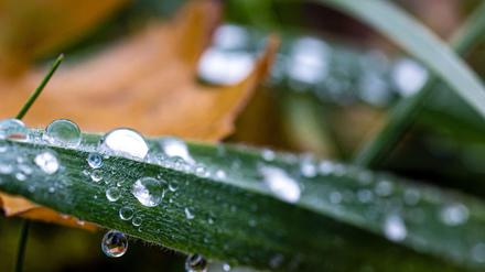 Nächste Woche heißt es: wärmer anziehen.