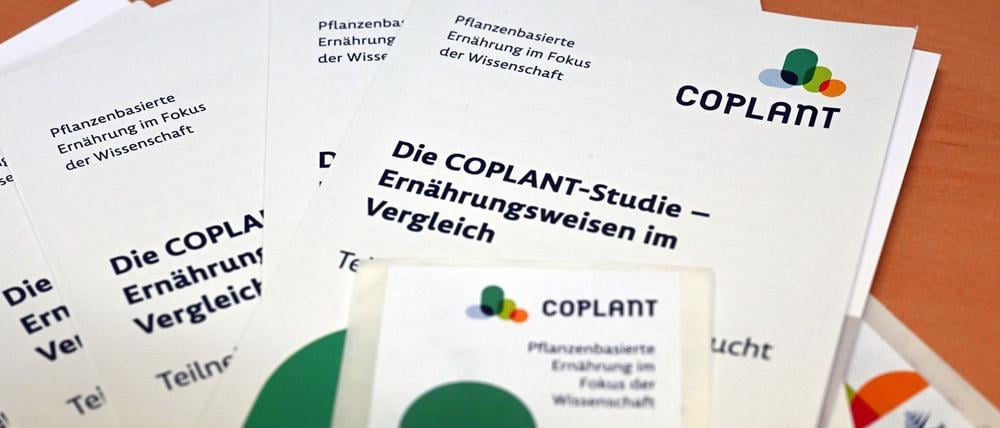 Studie zu pflanzlicher Ernährung bezieht nun auch Kinder ein (Kinder sind am Zug (Archivbild)