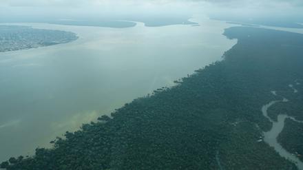 Durch den an die Millionenstadt Belém grenzenden Wald fließt der Fluss Guama.