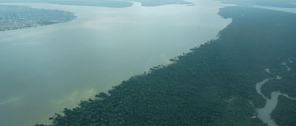 Durch den an die Millionenstadt Belém grenzenden Wald fließt der Fluss Guama.
