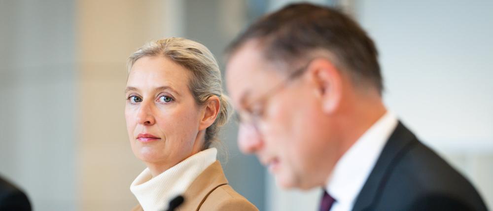 Die AfD-Spitze: Alice Weidel (links) blickt zu Tino Chrupalla.