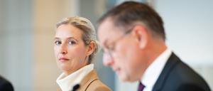 Die AfD-Spitze: Alice Weidel (links) blickt zu Tino Chrupalla.