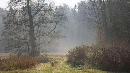 Herbstwetter im Süden von Brandenburg (Symbolbild).