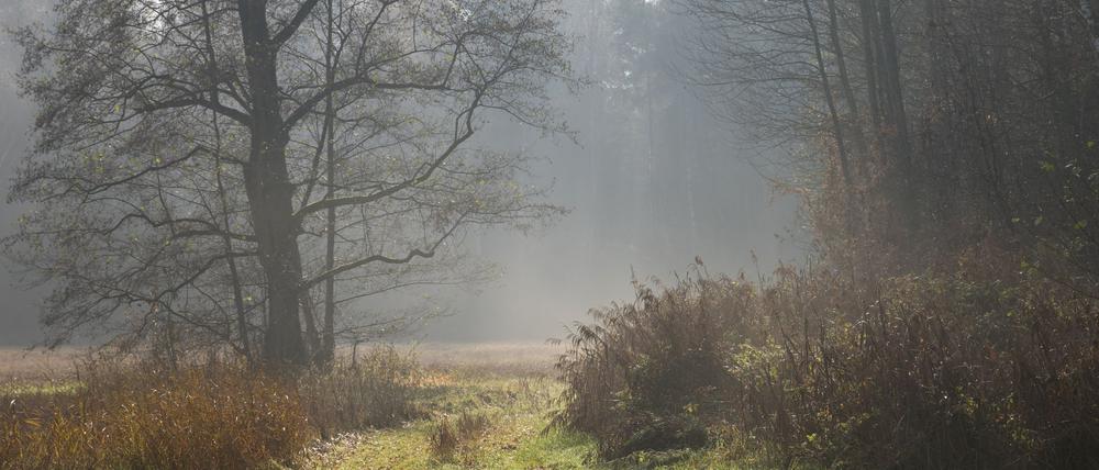Herbstwetter im Süden von Brandenburg (Symbolbild).