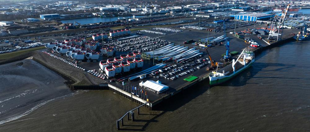 Im Hafen von Cuxhaven wurde ein toter Zwergwal entdeckt. (Symbolfoto)