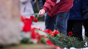 Ein Mann legt rote Nelken an die Gedenkstätte der Sozialisten. Zur Gedenkveranstaltung für Rosa Luxemburg und Karl Liebknecht kommen Parteimitglieder der Linken traditionell zum Zentralfriedhof Berlin-Friedrichsfelde. (Archivbild)