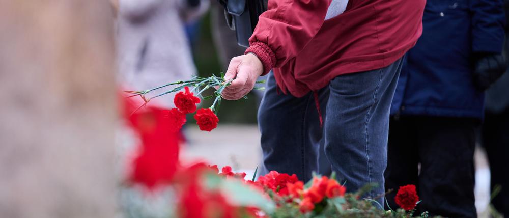 Ein Mann legt rote Nelken an die Gedenkstätte der Sozialisten. Zur Gedenkveranstaltung für Rosa Luxemburg und Karl Liebknecht kommen Parteimitglieder der Linken traditionell zum Zentralfriedhof Berlin-Friedrichsfelde. (Archivbild)