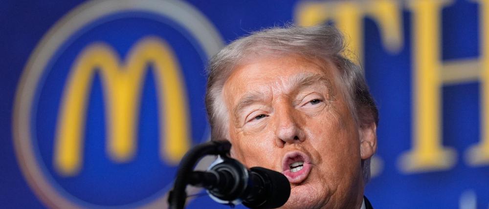 Trumps Regierung hatte die Resolution selbst in den UN-Sicherheitsrat eingebracht.