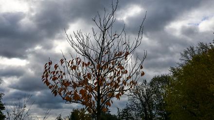 Bewölkt und regnerisch: So wird der Dienstag in Berlin und Brandenburg. (Symbolbild)