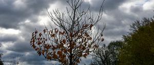 Bewölkt und regnerisch: So wird der Dienstag in Berlin und Brandenburg. (Symbolbild)