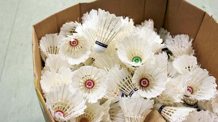 Auch beim Badminton lässt sich viel tun rund um das Thema Nachhaltigkeit.