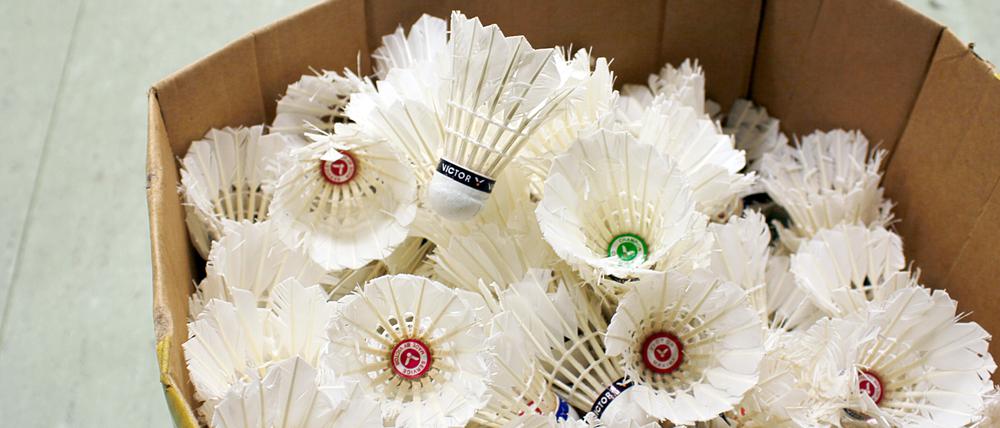 Auch beim Badminton lässt sich viel tun rund um das Thema Nachhaltigkeit.