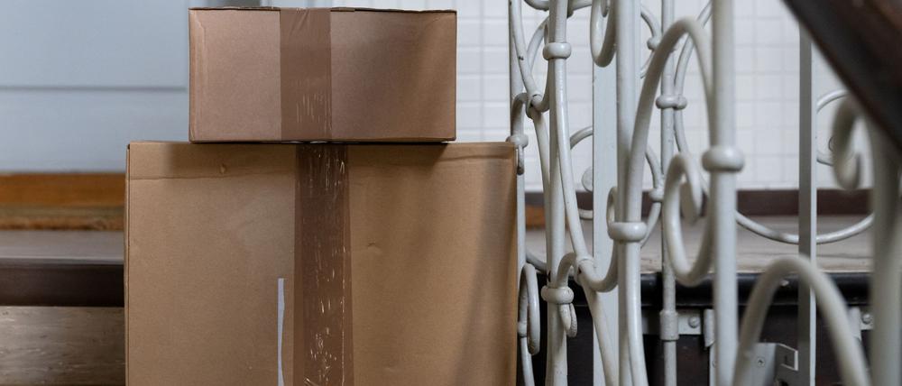 Die Katze hatte sich nach bisherigen Erkenntnissen unbemerkt in den Karton gelegt. (Symbolbild)