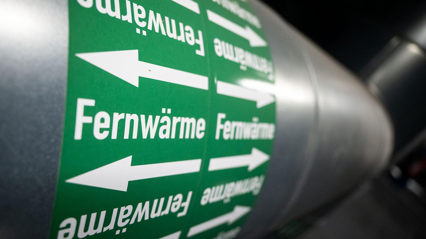 Neue-Holzheizkraftwerke-geplant-Verfeuert-Berlin-bald-Brandenburgs-W-lder-