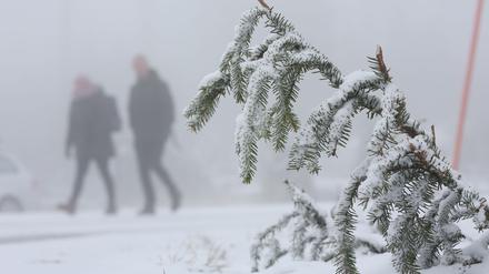 In den Mittelgebirgen wie dem Harz wird am Mittwoch Neuschnee erwartet.