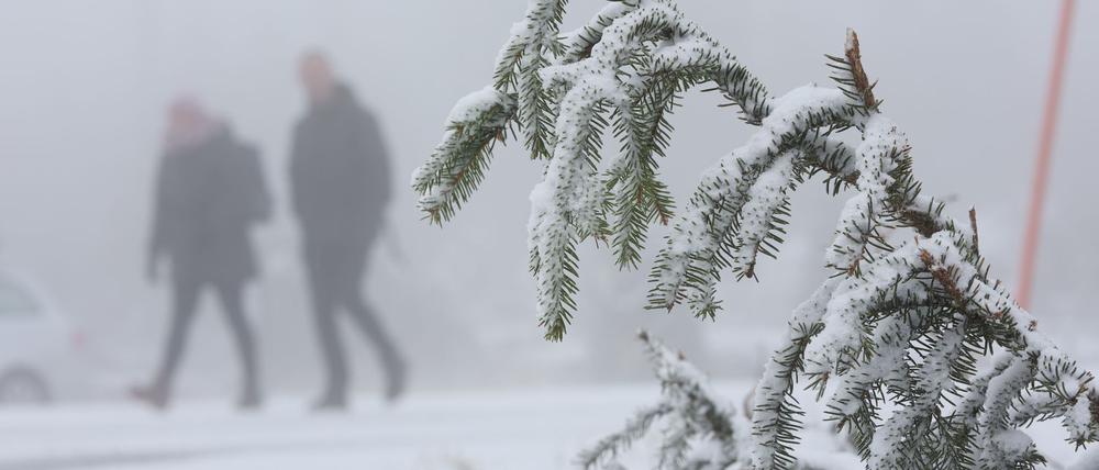 In den Mittelgebirgen wie dem Harz wird am Mittwoch Neuschnee erwartet.