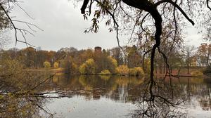 Blick vom Ufer des Obersees auf den Wasserturm