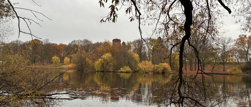 Blick vom Ufer des Obersees auf den Wasserturm