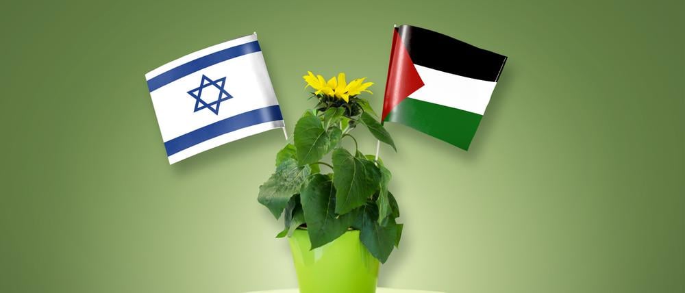 Collage zum Thema: Parteitag der Grünen, die dort über ihr Verhältnis zu Israel und Gaza streiten werden.