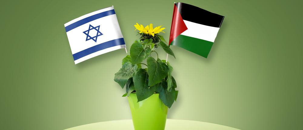 Collage zum Thema: Parteitag der Grünen, die dort über ihr Verhältnis zu Israel und Gaza streiten werden.