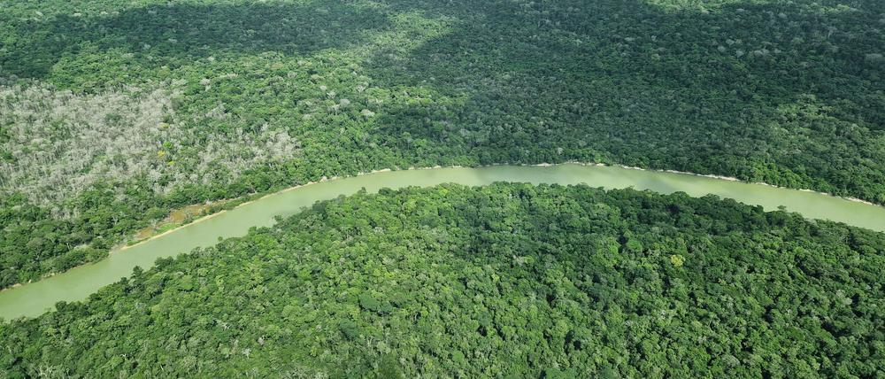 Deutschland gibt viel Geld für einen neuen Tropenwaldfonds.