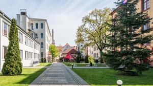 Im Hof der GLS-Sprachschule in Prenzlauer Berg soll ein Hotel-Neubau entstehen. Die dargestellte Grünfläche ist kein Teil der Bauzone.
