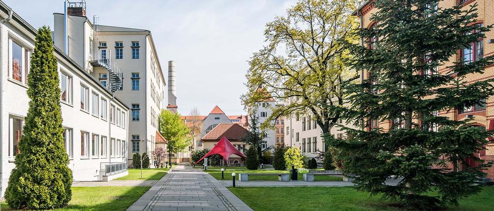 Im Hof der GLS-Sprachschule in Prenzlauer Berg soll ein Hotel-Neubau entstehen. Die dargestellte Grünfläche ist kein Teil der Bauzone.