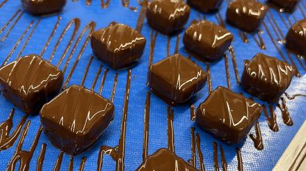 Die Sorte „Trüffel Krokant“ fährt per Laufband zur nächsten Station: Jede Praline wird fünfmal von Hand bearbeitet.