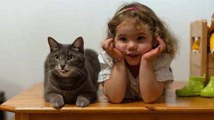 Zusammen ist man weniger allein: Therapiekater Fuchur bei der Arbeit.